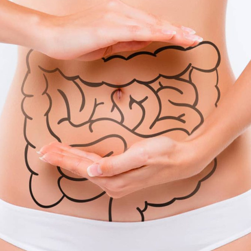 Gut Microbiome Modulation for Weight Management with Metabolaid