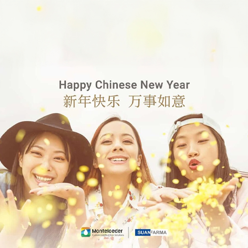 Chinese New Year 2023, Year of the Rabbit